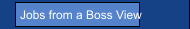 Jobs from a Boss View